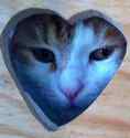 Avatar du membre