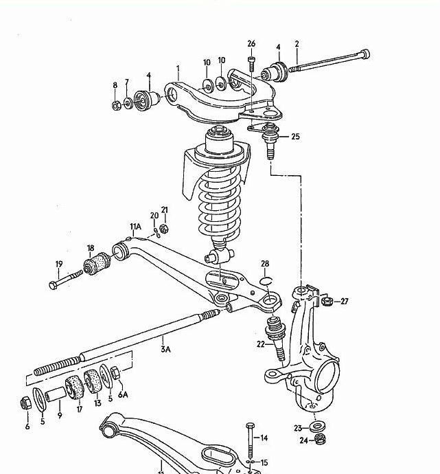 bras transversal.jpg